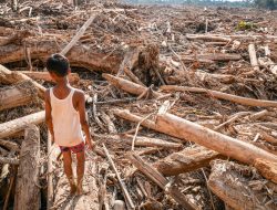 Korban Tewas Bencana Sumatera Tembus 1.000 Orang, Agam dan Aceh Utara Jadi Titik Paling Kelam