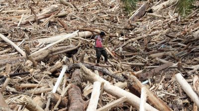 Kerugian Ekonomi Akibat Deforestasi Sebabkan Bencana di Sumatera Ditaksir Menembus Angka Rp68,67 Triliun