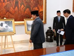 Nama Bayi Panda: Satrio Wiratama dari Presiden Prabowo, Simbol Keberanian dan Kemuliaan