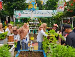 Jasmine Integrated Farming Binaan WEGE Tembus ProKlim Utama 2025, Siap Melaju ke Kategori Lestari