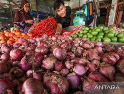 Jelang Nataru Harga Daging Ayam dan Cabai Rawit Naik Drastis