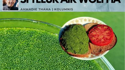 Si Telur Air Wolffia