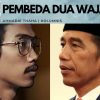 Pembeda Dua Wajah