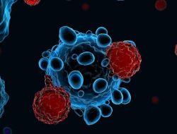 Stop Sekarang! Bagian Makanan Ini Paling Beracun, Cek Daftar Buah dan Sayur yang Bisa Terkontaminasi PAHs Pemicu Kanker!