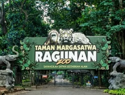 Ragunan Dibuka Sejam Lebih Awal Selama Libur Nataru