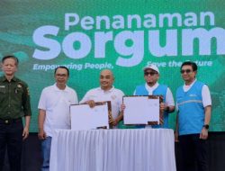 PLN EPI Tancap Gas Transisi Energi, Sorgum Jadi Bahan Bakar Baru PLTU Pelabuhan Ratu