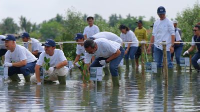 Kejar Target Net Zero Emission, WEGE Seimbangkan Emisi Konstruksi Lewat Penanaman Mangrove