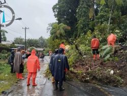 Update Jumlah Korban Bencana  Sumatera: 753 Meninggal, 650 Hilang, 576.300 orang Mengungsi