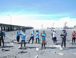 PLN EPI-PLN Energi Gas Perkuat Ketahanan Energi dan Lingkungan Tarakan Lewat Program Urban Farming dan Konservasi Mangrove