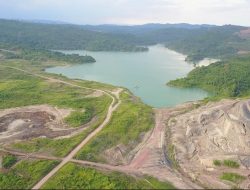 Pemerintah Teken Aturan Baru, Denda Tambang Ilegal di Hutan Tembus Rp6,5 Miliar per Hektare