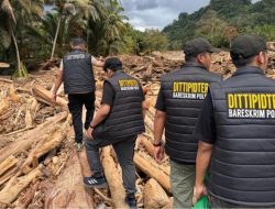 Bareskrim Periksa 17 Orang Soal Kayu Gelondongan Misterius Banjir Tapanuli, Siapa Tersangkanya?