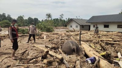 Musibah Banjir di Sumatera: Tragedi Kemanusiaan Akibat Keserakahan Manusia