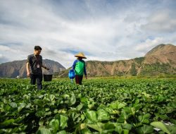 Indeks UMKM BRI Tembus Zona Ekspansi! Pelaku Usaha Mulai Optimis Jelang Akhir Tahun