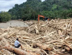 Satgas PKH Dalami Kerusakan Hutan Diduga Sebabkan Bencana Ekologis di Sumatera