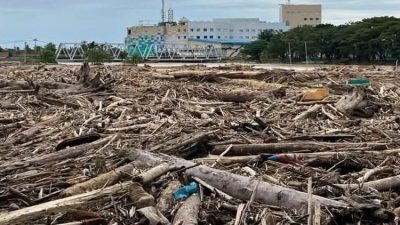 Menhut: Bencana Sumatera Momentum Perbaiki Tata Kelola Hutan