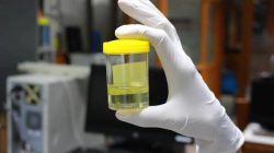 Cegah Peredaran Narkoba, BNNP Jakarta Gelar Tes Urin di Lingkungan Pemerintahan Hingga Pendidikan