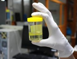 Cegah Peredaran Narkoba, BNNP Jakarta Gelar Tes Urin di Lingkungan Pemerintahan Hingga Pendidikan