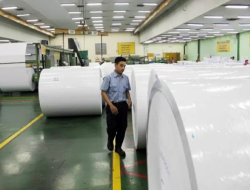 Industri Pulp dan Kertas RI Tancap Gas, Bersiap Hijrah ke Industri Rendah Emisi