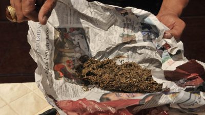 Polisi Angkut Empat Terduga Pengedar Ganja di Jakut