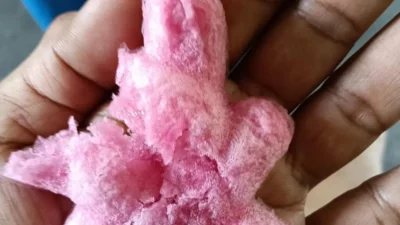 Tidak Mengandung Bahan Berbahaya, Polisi Pastikan Es Gabus Viral Aman dan Layak Konsumsi