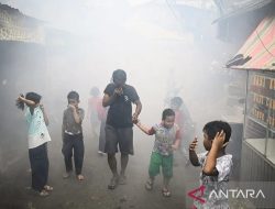 Kasus DBD di Jakarta Barat Meningkat