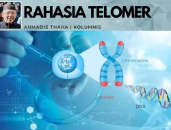Rahasia Telomer