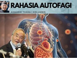 Rahasia Autofagi