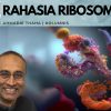 Rahasia Ribosom