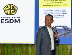 PLTA hingga Surya Ngebut, Ini Rapor Transisi Energi RI 2025