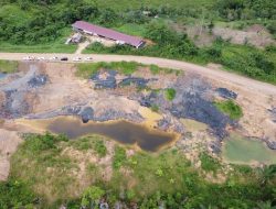 Mafia Tambang Ketar Ketir: Gakkum ESDM Segel 50 Ribu Ton Batu Bara Tak Bertuan di Pinggir Sungai Mahakam, Punya Siapa?