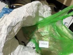 Video Viral Duit Karungan, Suap untuk Sudewo? Ini Kata KPK