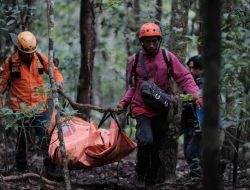 Drama Evakuasi Pesawat ATR: Cuaca Ekstrem, Jenazah Pramugari Terpaksa ‘Digantung’ di Pohon