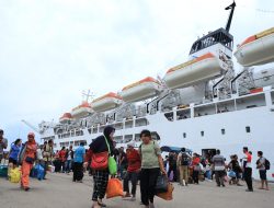 PELNI Bagi-bagi 800 Tiket Kapal Gratis Buat Mudik 2026, Cek Syarat dan Link Daftarnya di Sini
