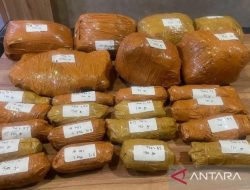 Polda Metro Jaya Bongkar Peredaran Ganja 9,4 Kilogram di Jakarta Timur