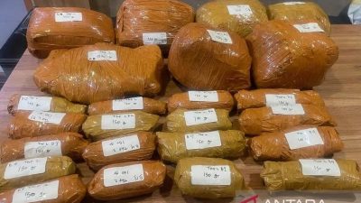 Polda Metro Jaya Bongkar Peredaran Ganja 9,4 Kilogram di Jakarta Timur