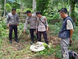 Jasad Bayi Membusuk Gegerkan Ponpes di Mamuju, Ternyata Pelakunya ‘Orang Dalam’