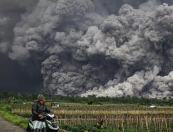 Semeru Mengamuk! Awan Panas Meluncur 6 Km, Abu Tebal Hujani Sektor Utara