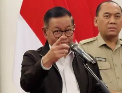 Pemprov DKI Larang Pembangunan Lapangan Padel Baru di Perumahan