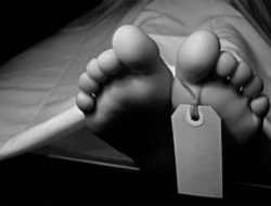 Pukul Kepala Kakak Kandung Pakai Palu Hingga Tewas, Pelajar di Kelapa Gading Ditangkap Polisi