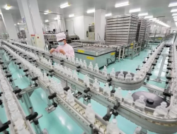 Industri Pengolahan Jadi ‘Raja’ Ekonomi RI, Sektor Kimia hingga Farmasi Tumbuh Moncer!