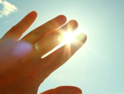 Siap-siap Gerah! Suhu RI Diprediksi Bakal ‘Mendidih’ di Atas Normal Mulai Maret