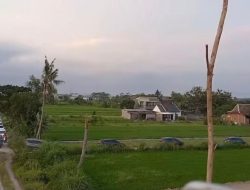 Kena Prank Navigasi Digital! Begini Nasib Ratusan Pemudik yang Tersesat di Persawahan Sleman