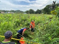 Horor di Kampung Buntu, Dua Bocah Temukan Potongan Tubuh Manusia yang Tercecer dalam Karung