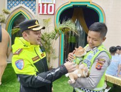 Gemas! Kenalan Sama ‘Si Oyen’, Kucing Polisi Berompi yang Jaga Jalur Puncak
