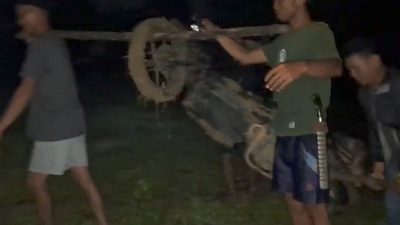 Horor Pemudik Tersesat di Hutan Pemalang Gara-gara ‘Nuruti’ Aplikasi Peta