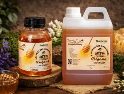 Berawal Jadi Relawan Gempa Lombok, Pria Ini Sukses Raup Cuan dari Madu Trigona!