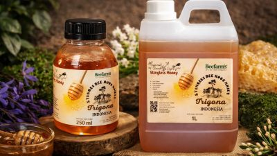 Berawal Jadi Relawan Gempa Lombok, Pria Ini Sukses Raup Cuan dari Madu Trigona!