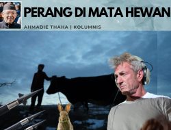 Perang di Mata Hewan
