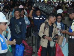 Tembus 316 Ribu Penumpang! Arus Mudik Kapal PELNI 2026 Lampaui Target Tahun Lalu