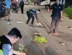 Tabrakan Maut di PIK, Polisi Sebut Sopir Fortuner dalam Pengaruh Alkohol